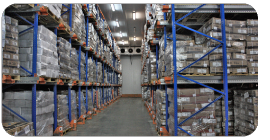Petro-Frigo Ltd.