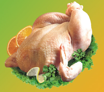 Cuisine Solutions, Inc.