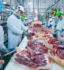 Vertical Cold Storage, LLC