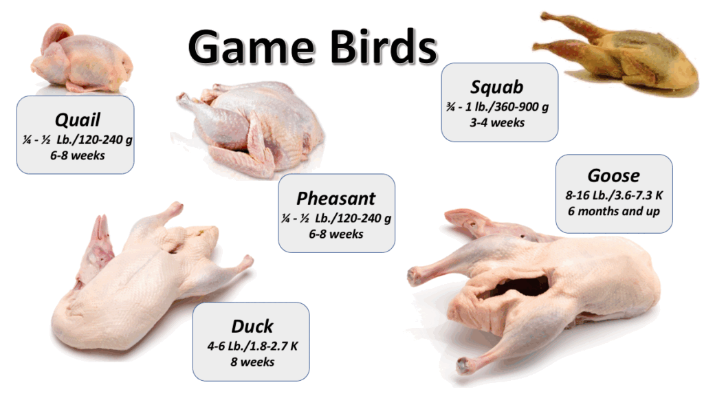 Lineage Logistics PFS, LLC