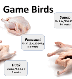 Case Farms, Processing