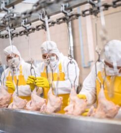 Quality Pork Processors