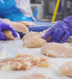 Gemstone Ventures dba RCF, LLC or Gemstone Foods