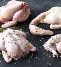 Equity Group Georgia Division, LLC