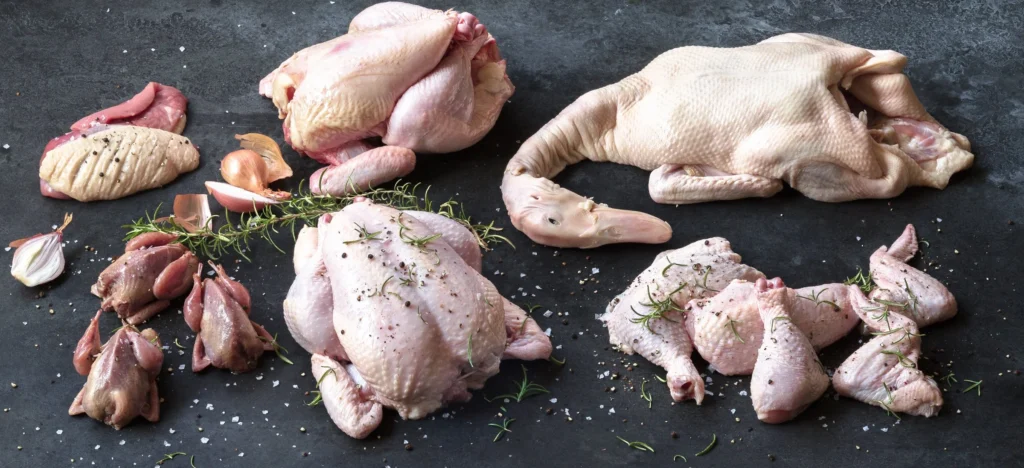 Sky Blue Enterprises LLC.